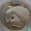 Belarus 20 rubles 2011 (PROOF) "Hedgehog" - Image 2