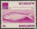 Beelden van Bangladesh  - Afbeelding 1