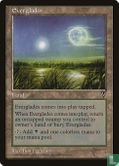 Everglades - Image 1
