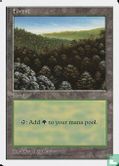 Forest - Image 1