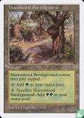 Havenwood Battleground - Image 1