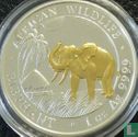 Somalië 100 shillings 2017 (gedeeltelijk verguld) "Elephant" - Afbeelding 2