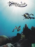Aqua Marine - Diving Bali - Afbeelding 1