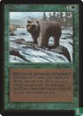 Grizzly Bears - Image 1
