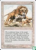 Savannah Lions - Image 1