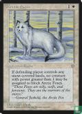 Arctic Foxes - Image 1