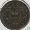 Newfoundland 1 cent 1909 - Afbeelding 1