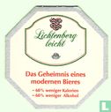 Lichtenberg leicht - Image 1