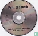 Falls of sounds - Afbeelding 3