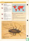 Kakkerlakken - Afbeelding 2