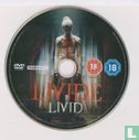 Livid - Image 3