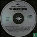Daydreaming with The Lovin' Spoonful - 20 Greatest Hits - Afbeelding 3