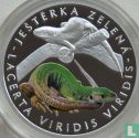 Niue 1 dollar 2017 (PROOF) "European green lizard" - Afbeelding 2