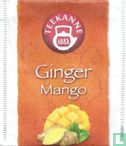 Ginger Mango - Image 1