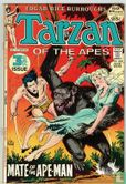Tarzan 209 - Image 1