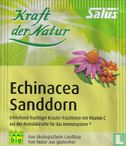 Echinacea Sanddorn   - Afbeelding 1