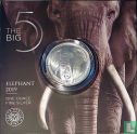 South Africa 5 rand 2019 (folder) "African elephant" - Image 1