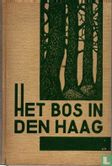 Het bos in Den Haag - Afbeelding 1