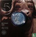 South Africa 5 rand 2021 (folder) "Buffalo" - Image 1