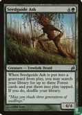 Seedguide Ash - Afbeelding 1
