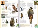 Vogels in Nederland - Image 3