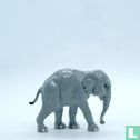 Elephant - Bild 1