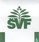 Bronchoherba Forte
