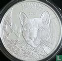 Congo-Kinshasa 20 francs 2020 "Predators - Puma concolor" - Image 1