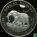 Somalië 100 shillings 2022 (zilver - kleurloos) "Elephant" - Afbeelding 2
