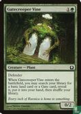 Gatecreeper Vine