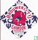 Brouwerij 't IJ Chinook Crimson Ale - Afbeelding 1