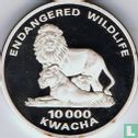 Zambia 10000 kwacha 1997 (PROOF - zilver) "Lions" - Afbeelding 2
