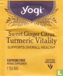 Sweet Ginger Citrus Turmeric Vitality - Image 1