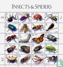 Insectes et araignées - Image 1