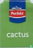 Perfekt Cactus - Image 2