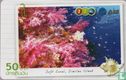 Soft Coral, Similan Island - Afbeelding 1