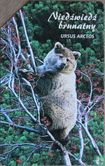 Ursus arctos - Image 1