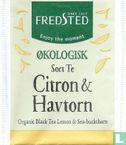 Citron & Havtorn - Afbeelding 1