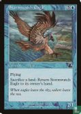Stormwatch Eagle - Afbeelding 1