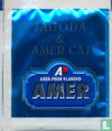 Jagoda & Amer Caj - Bild 1