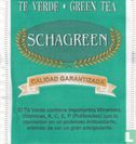 Te Verde - Green Tea  - Bild 1