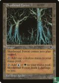 Skyshroud Forest - Image 1