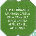 La Tisanière Pomme Cannelle - Appel Kaneel 6 talen - Image 2