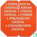 La Tisanière Cocktail 3 Agrumes - 3 Citrusvruchten cocktail 6 talen - Afbeelding 2