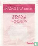 Fragolina di Bosco  - Bild 1