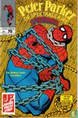 Peter Parker 70 - Image 1