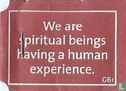 We are spiritual beings having a human experience. - Image 1
