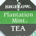 Plantation Mint ® - Image 1