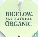 All Natural Organic / Fine Teas & Herb Teas - Image 1