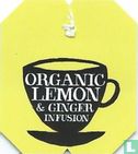Organic Lemon & Ginger Infusion - Image 1